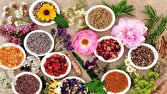 تنوع گیاهی ایران را به قطب صادرات محصولات ارگانیک‌ تبدیل می کند