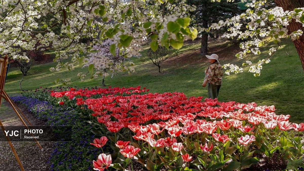 منتخبی از عکس‌های خبری جهان/ ۱۳ مهر ۱۴۰۵