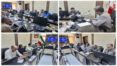 ضرورت فوری تکمیل واکسیناسیون دام‌های سبک و بیمه دامداران در قاین