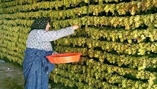 خنداب، نگین سبز استان مرکزی + فیلم