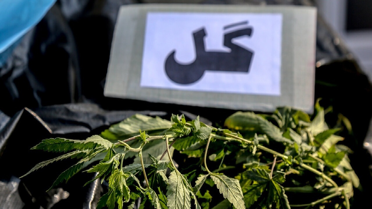 کشف یک تن ماده مخدر «گل» در اسدآباد