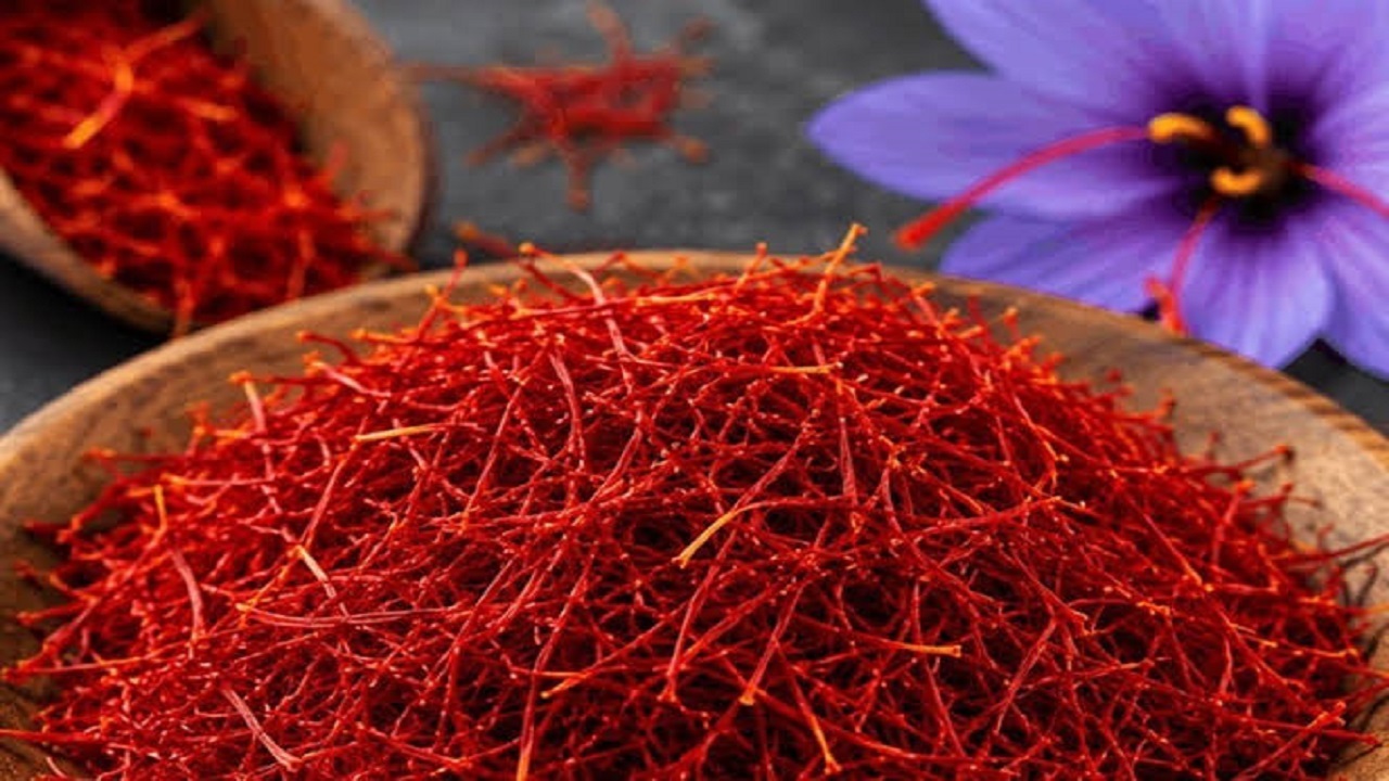 پیش بینی تولید بیش از ۴۸ تن زعفران خشک در خراسان جنوبی
