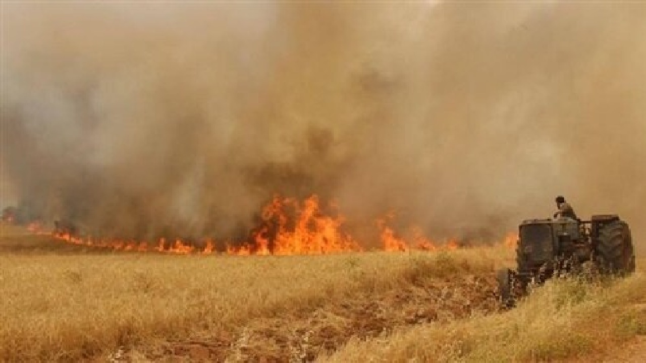 کاهش ۸۵ درصدی حریق در جنگل‌ها و مراتع لرستان