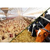 درخواست وزارت جهاد کشاورزی از بانک مرکزی برای تسریع در نهایی‌سازی ابزارهای تأمین مالی