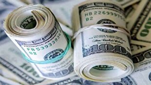 دستگیری مخل نظام ارزی کشور در ارومیه/ ۱.۲ میلیون یورو عدم رفع تعهد