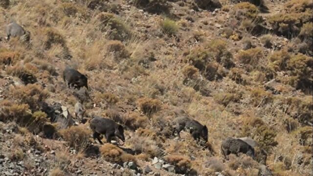 جدیدترین و مهمترین اخبار قم | خبرگزاری باشگاه خبرنگاران