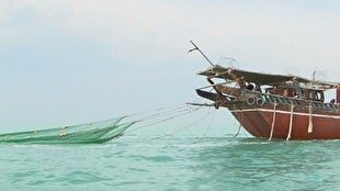 سه صیدگاه خوزستان از اول آبان به روی شناورهای صیادی باز شد