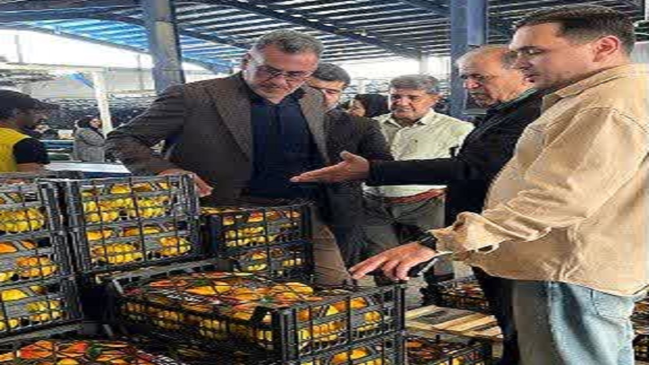 مرکبات جویبار در مسیر بازار