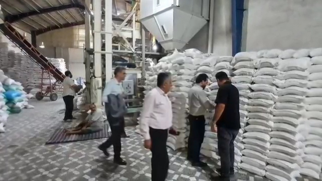 دستیابی به نرخ ۹۶ درصدی ثبت شالیکوبی‌های فعال در سامانه جامع انبار‌ها در شهرستان آمل