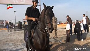گردهمایی علاقه‌مندان اسب اصیل کردی در مهاباد + فیلم