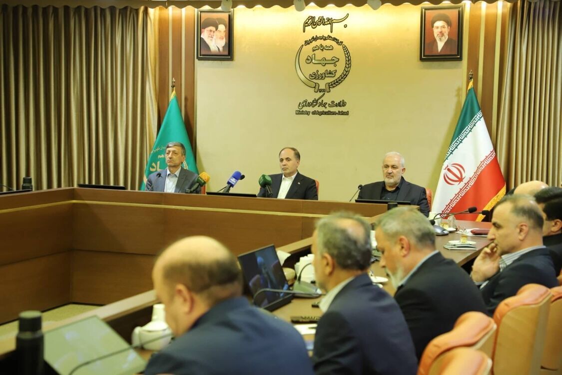 بهره برداری حداکثری از اراضی دیم اولویت امنیت غذایی کشور است