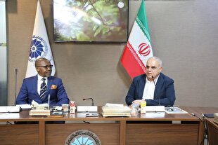 دروازه‌های جدید همکاری اقتصادی میان فارس و آفریقای جنوبی گشوده شد