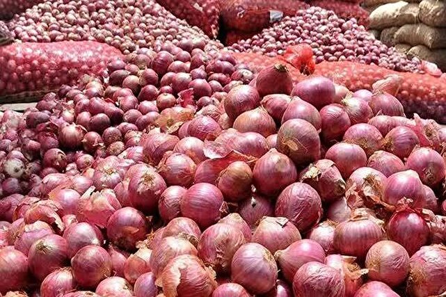 سقف ۱۵۰ تنی برای صادرات پیاز در فارس
