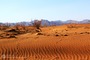 کویر ریگ جن 