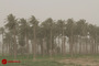 گرد و غبار شدید در اهواز 