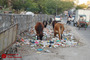 زباله جمع کن‌ها در بنگلادش