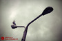 اسکله بندر انزلی