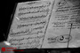 کنسرت بیژن کامکار در سنندج