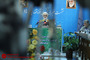 نشست خبری سخنگوی قوه قضائیه