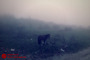 زمستان روستای فیلبند - آمل
