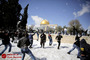 بارش برف در بيت المقدس
