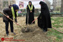 مراسم روز درختکاری درمشهد