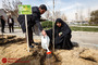 کاشت نهال توسط خانواده های معظم شهدا 