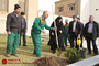کاشت نهال توسط مرضیه افخم سخنگوی وزارت امور خارجه 
