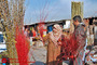 بازار گل تهران در آستانه سال نو