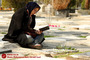 پنجشنبه آخر سال در بهشت زهرا (س) 