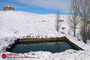 طبیعت برفی