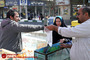 فروش ماهی قرمز در قم