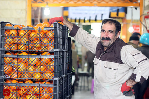 عرضه مستقیم میوه در میادین میوه و تره بار