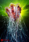 تصاوير زيبا از عروس های دریایی