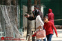 باغ پرندگان در مشهد‎ 