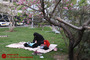 عزاداری شهادت حضرت فاطمه (س) در میدان فاطمی