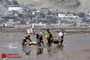 سیل مرگبار در شیلی
