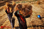زندگی روزمره در فلسطین