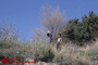 روز طبیعت در پارک پردیسان 