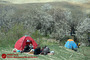 روز طبیعت در قم