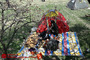 روز طبیعت در قم