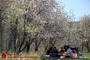 روز طبیعت در قم