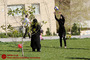 روز طبیعت در تهران