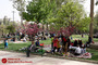 روز طبیعت در شیراز 