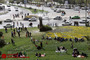 روز طبیعت در شیراز 