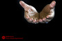 نماز جمعه تهران