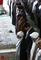 نماز جمعه تهران 