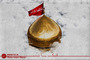 طرح‌های گرافیکی وفات حضرت زینب(س)