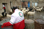 دهکده امدادگران در ارومیه