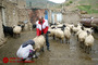 دهکده امدادگران در ارومیه